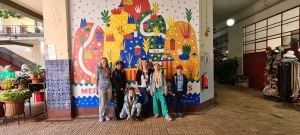 Erasmus + 
