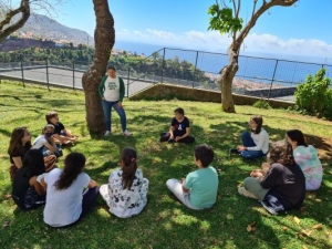 Erasmus + 